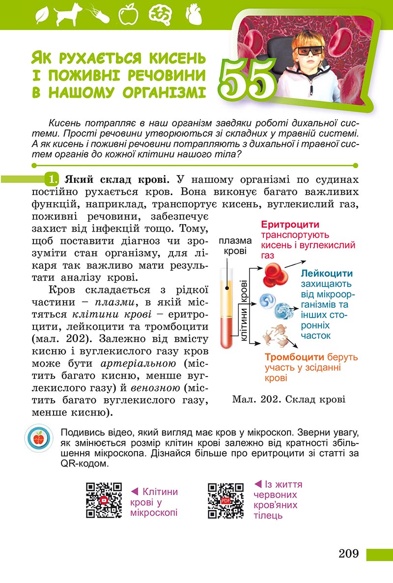 Сторінка 209 - Підручник Пізнаємо природу Біда Гільберг 2022 - скачати, читати онлайн