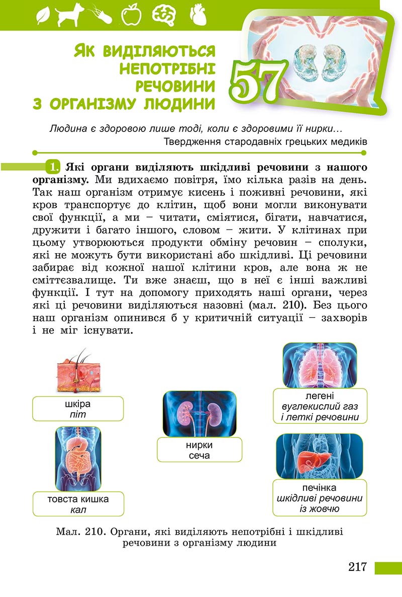 Сторінка 217 - Підручник Пізнаємо природу Біда Гільберг 2022 - скачати, читати онлайн