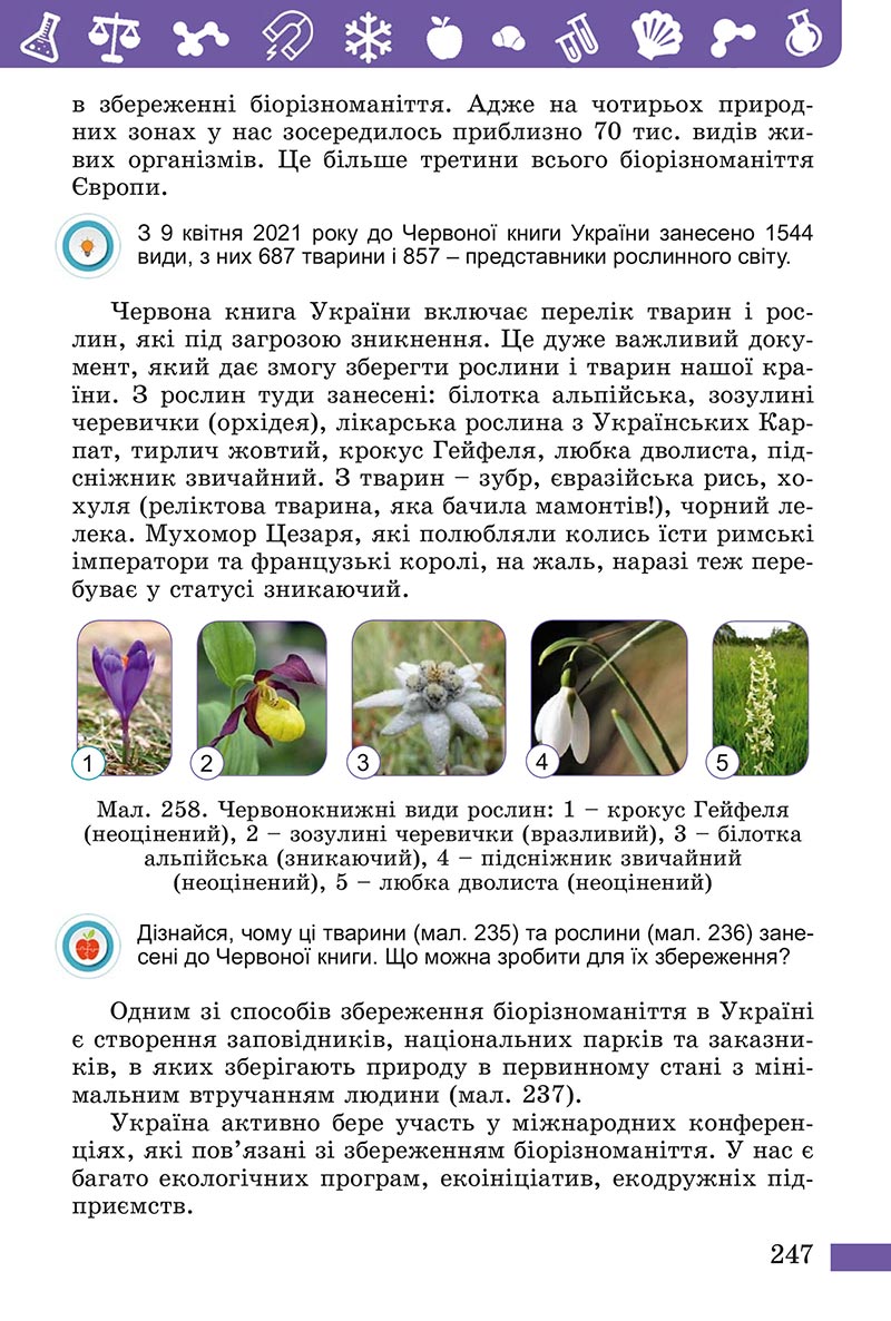 Сторінка 247 - Підручник Пізнаємо природу Біда Гільберг 2022 - скачати, читати онлайн