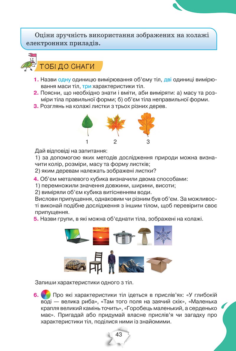 Сторінка 43 - Підручник Пізнаємо природу 5 клас Коршевнюк 2022 - скачати, читати онлайн