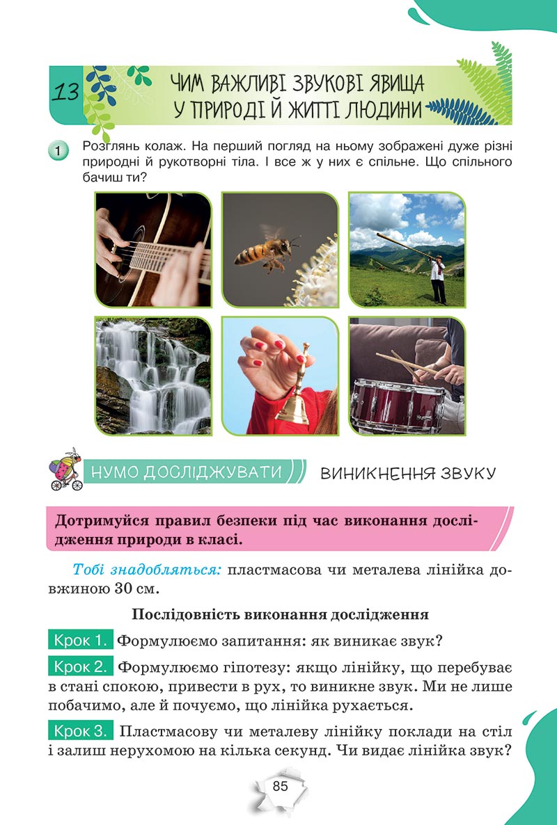 Сторінка 85 - Підручник Пізнаємо природу 5 клас Коршевнюк 2022 - скачати, читати онлайн