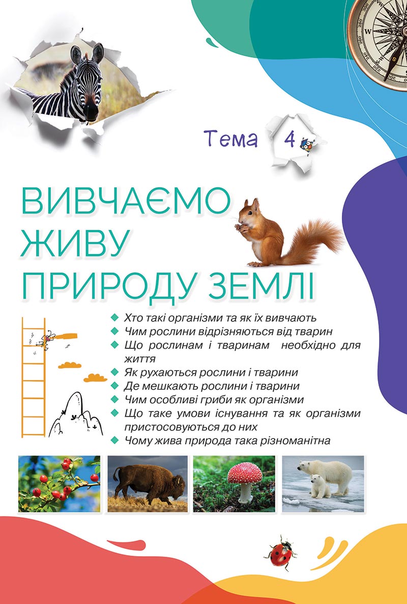 Сторінка 140 - Підручник Пізнаємо природу 5 клас Коршевнюк 2022 - скачати, читати онлайн