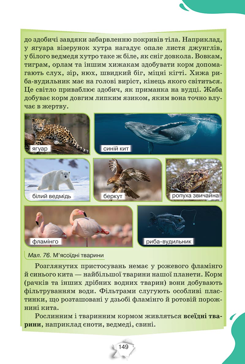 Сторінка 149 - Підручник Пізнаємо природу 5 клас Коршевнюк 2022 - скачати, читати онлайн