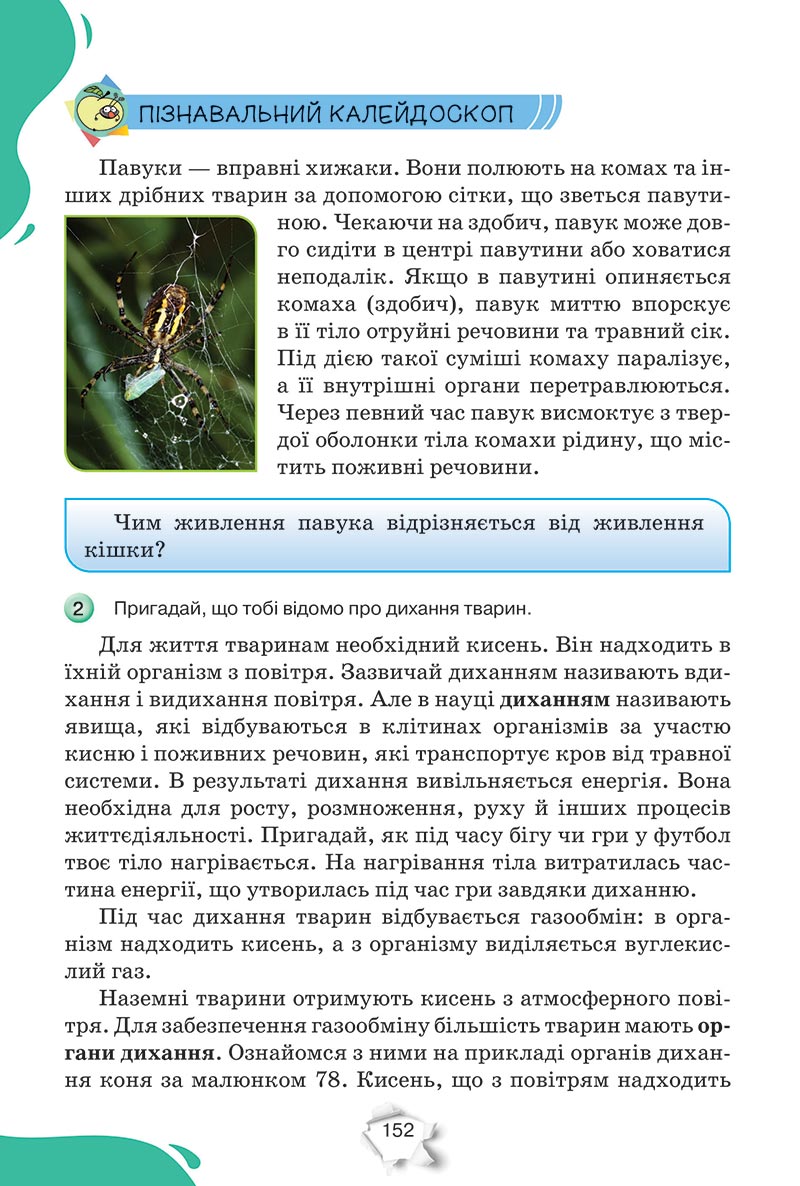 Сторінка 152 - Підручник Пізнаємо природу 5 клас Коршевнюк 2022 - скачати, читати онлайн