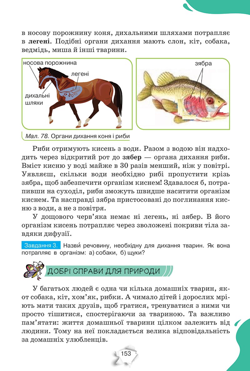 Сторінка 153 - Підручник Пізнаємо природу 5 клас Коршевнюк 2022 - скачати, читати онлайн