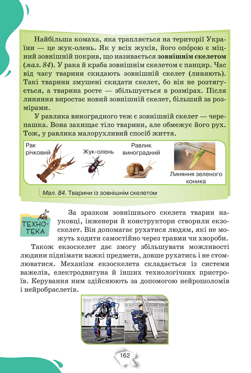 Сторінка 162 - Підручник Пізнаємо природу 5 клас Коршевнюк 2022 - скачати, читати онлайн