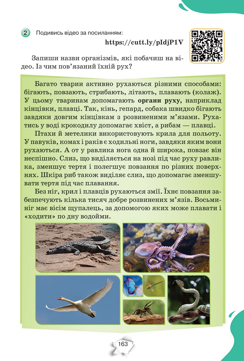 Сторінка 163 - Підручник Пізнаємо природу 5 клас Коршевнюк 2022 - скачати, читати онлайн