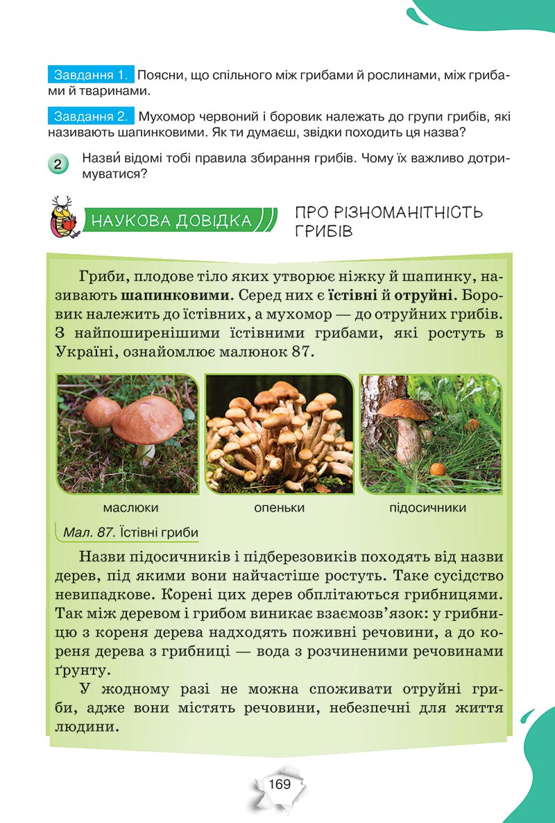 Сторінка 169 - Підручник Пізнаємо природу 5 клас Коршевнюк 2022 - скачати, читати онлайн