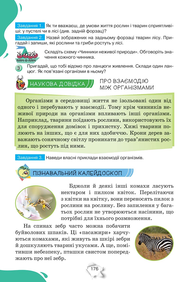 Сторінка 176 - Підручник Пізнаємо природу 5 клас Коршевнюк 2022 - скачати, читати онлайн