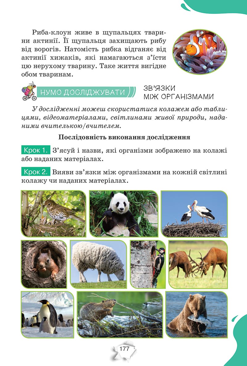 Сторінка 177 - Підручник Пізнаємо природу 5 клас Коршевнюк 2022 - скачати, читати онлайн