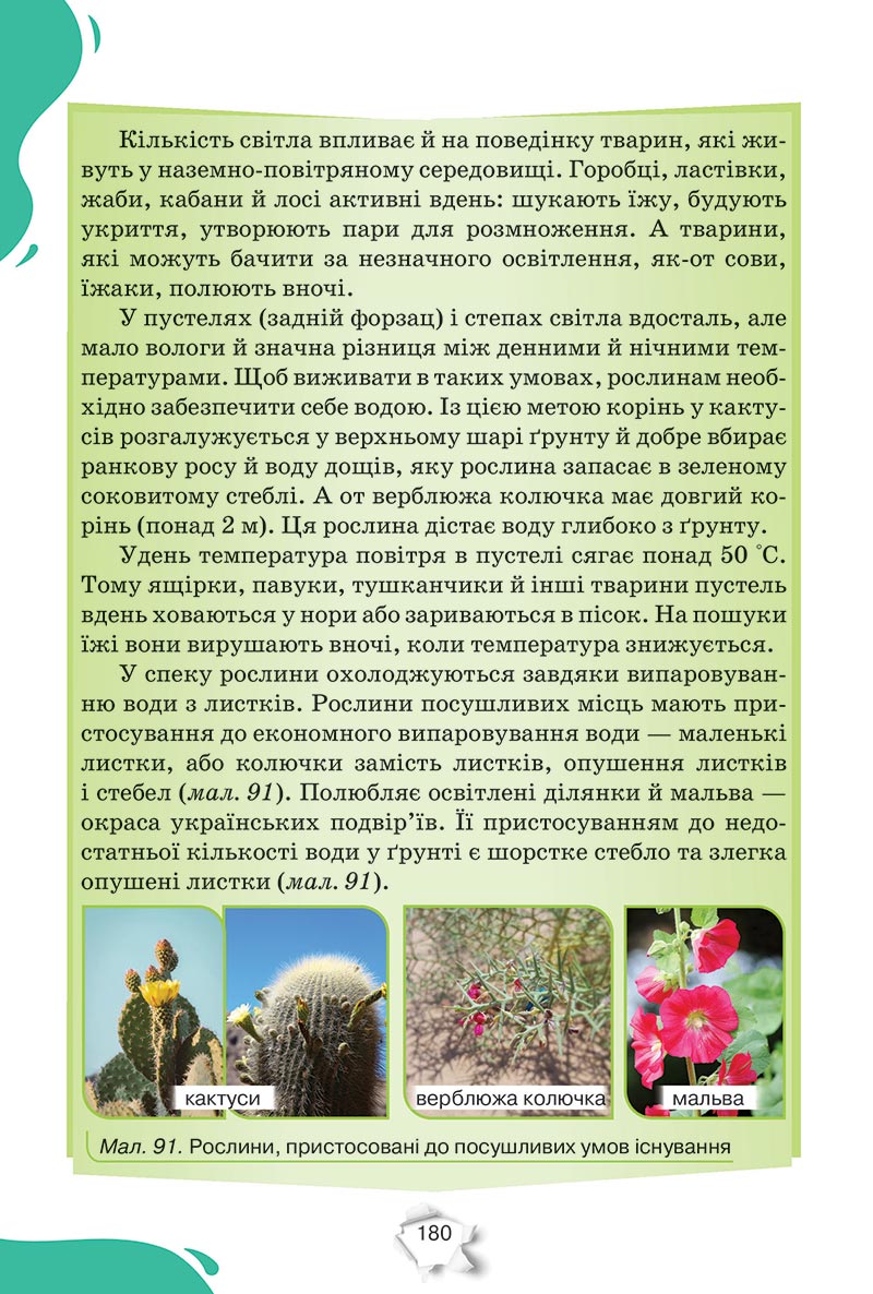 Сторінка 180 - Підручник Пізнаємо природу 5 клас Коршевнюк 2022 - скачати, читати онлайн