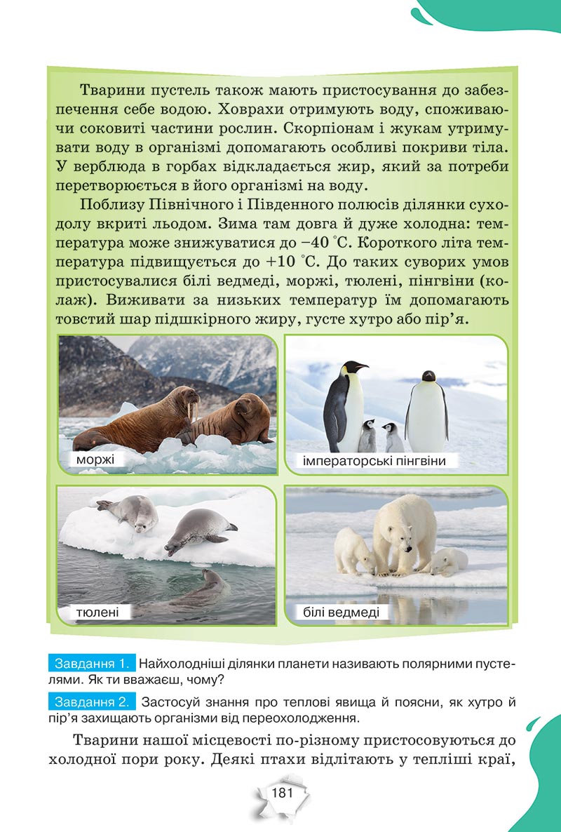 Сторінка 181 - Підручник Пізнаємо природу 5 клас Коршевнюк 2022 - скачати, читати онлайн