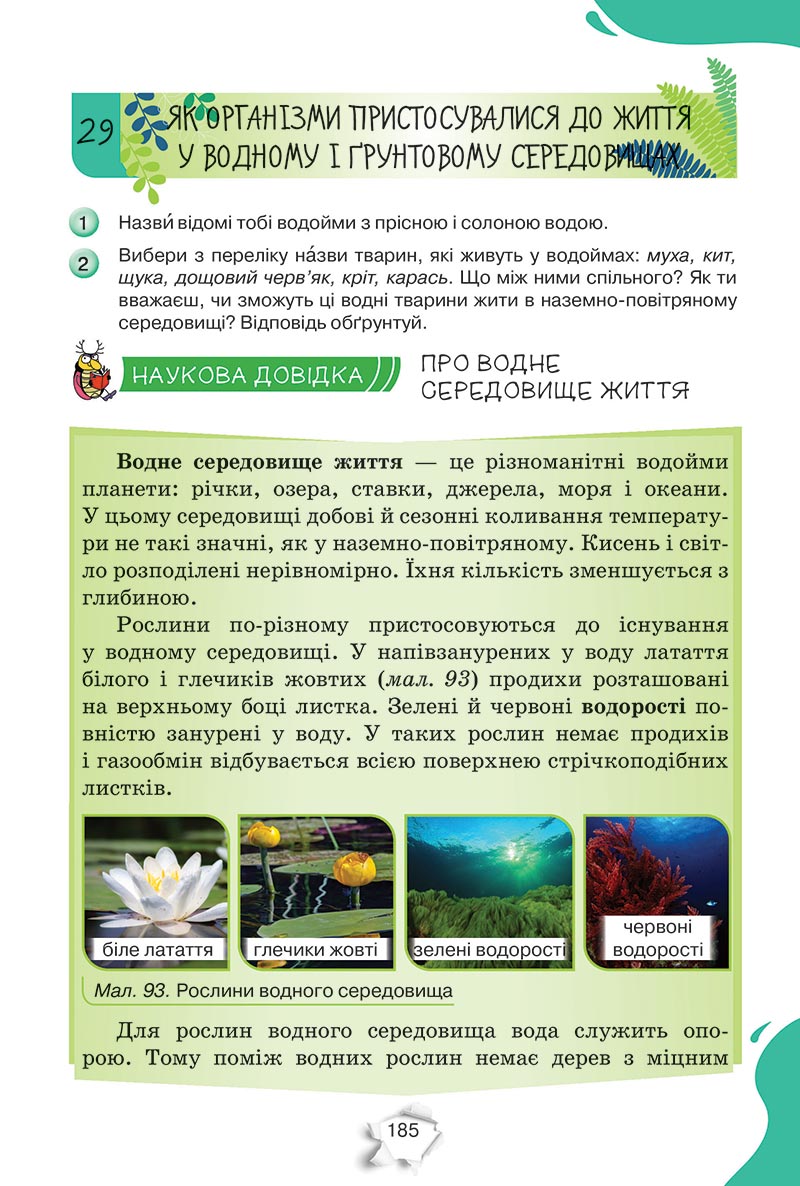 Сторінка 185 - Підручник Пізнаємо природу 5 клас Коршевнюк 2022 - скачати, читати онлайн