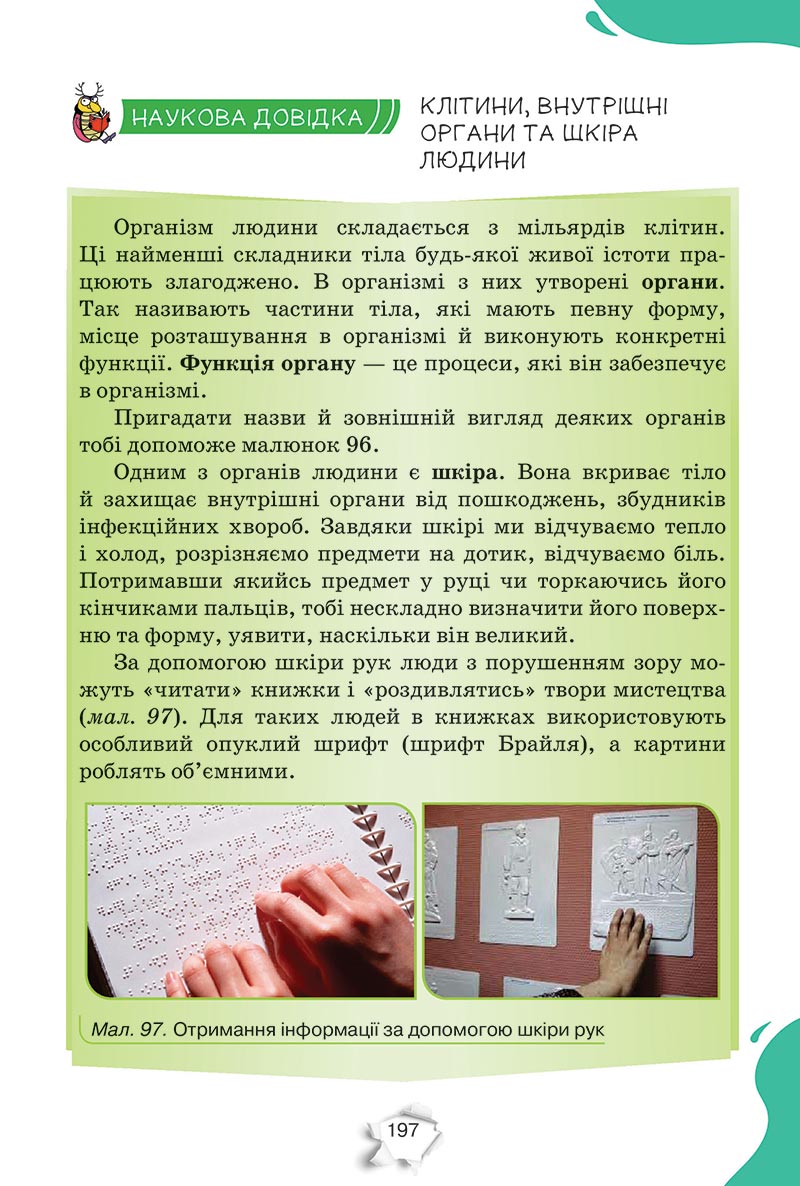 Сторінка 197 - Підручник Пізнаємо природу 5 клас Коршевнюк 2022 - скачати, читати онлайн