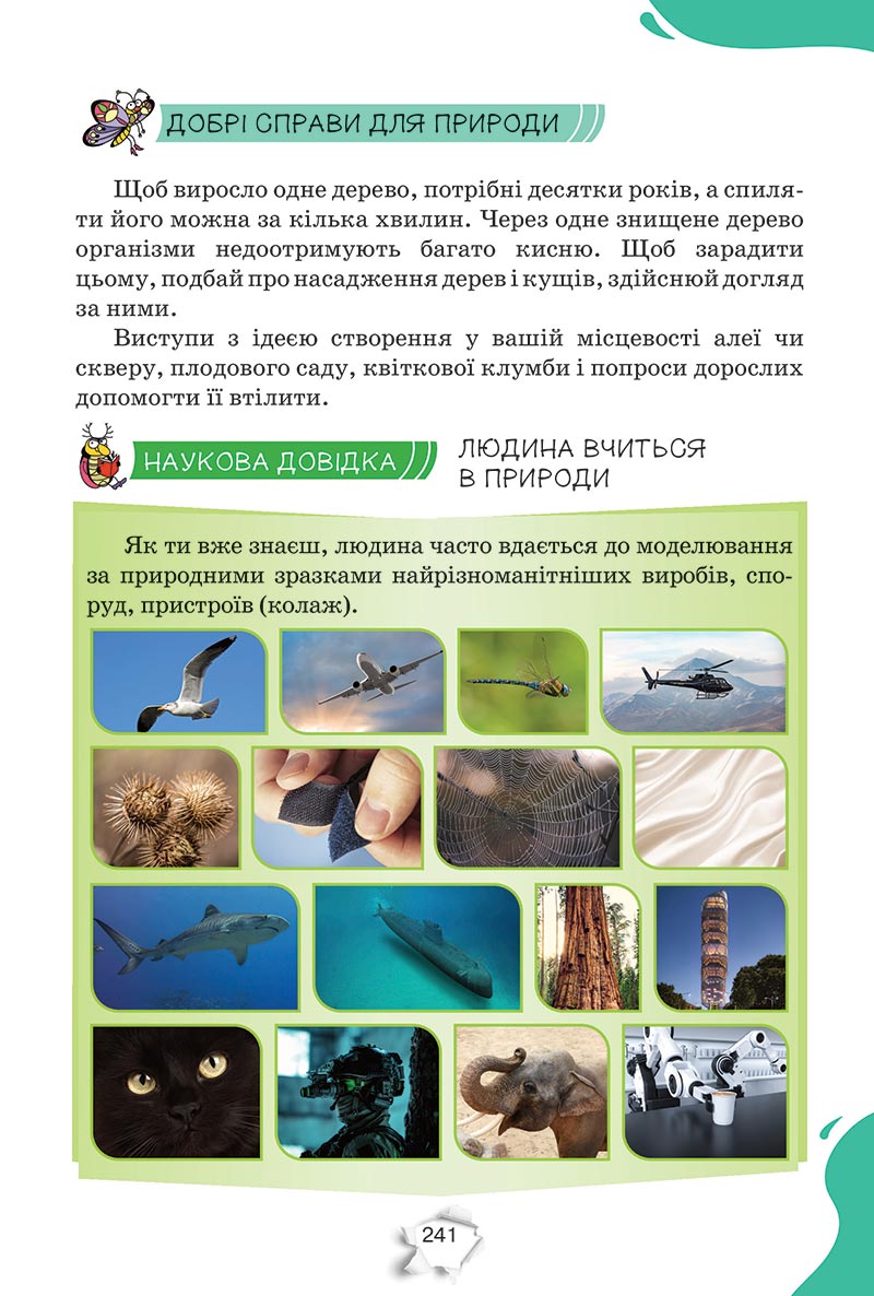 Сторінка 241 - Підручник Пізнаємо природу 5 клас Коршевнюк 2022 - скачати, читати онлайн