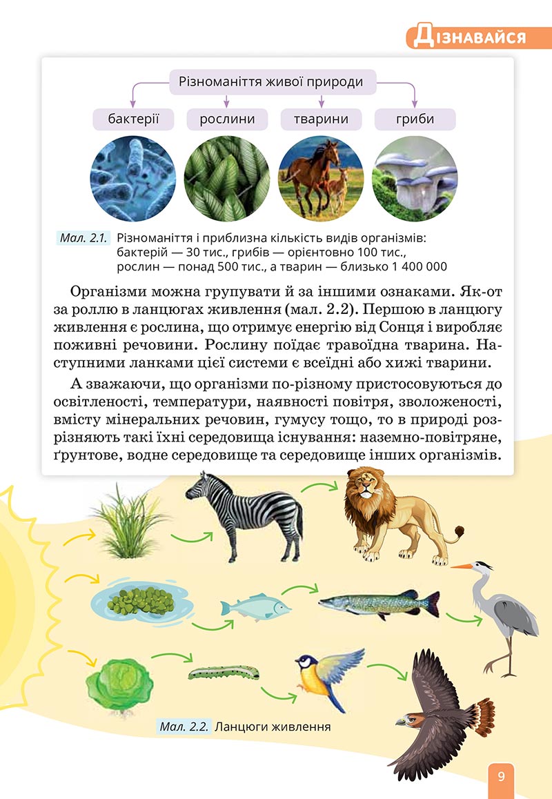 Сторінка 9 - Підручник Природничі науки 5 клас Засєкіна 2022 - скачати, читати онлайн