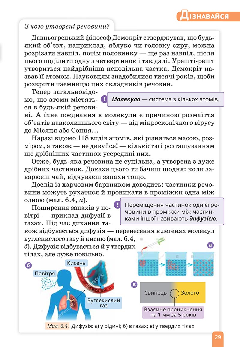 Сторінка 29 - Підручник Природничі науки 5 клас Засєкіна 2022 - скачати, читати онлайн
