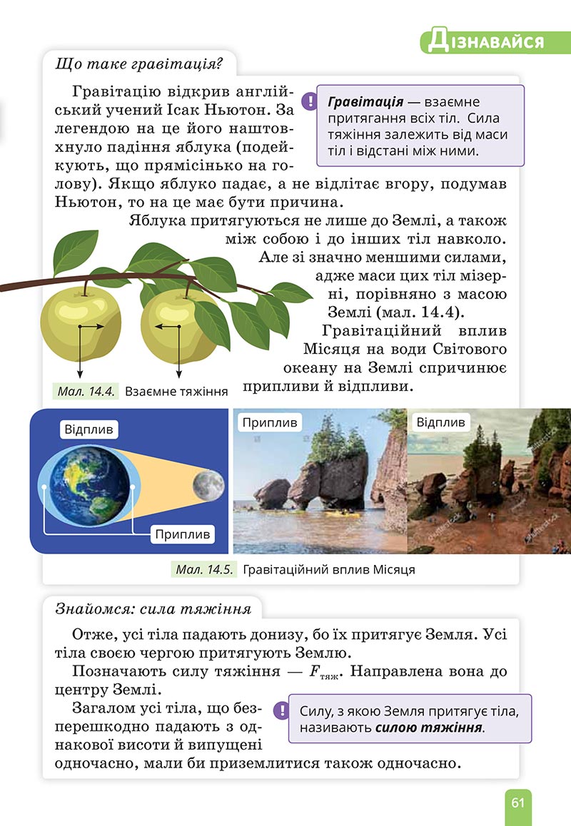 Сторінка 61 - Підручник Природничі науки 5 клас Засєкіна 2022 - скачати, читати онлайн