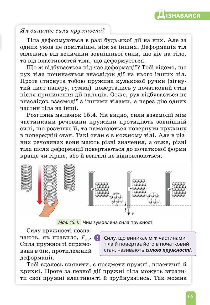 Сторінка 65 - Підручник Природничі науки 5 клас Засєкіна 2022 - скачати, читати онлайн
