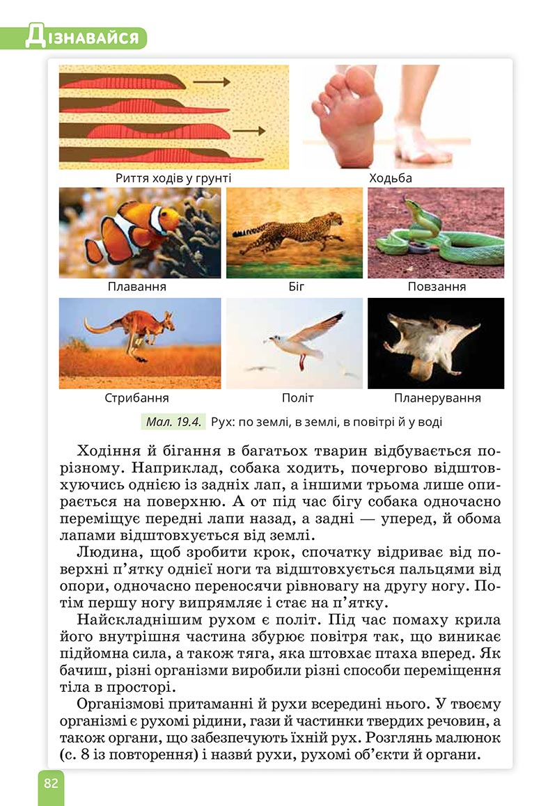 Сторінка 82 - Підручник Природничі науки 5 клас Засєкіна 2022 - скачати, читати онлайн