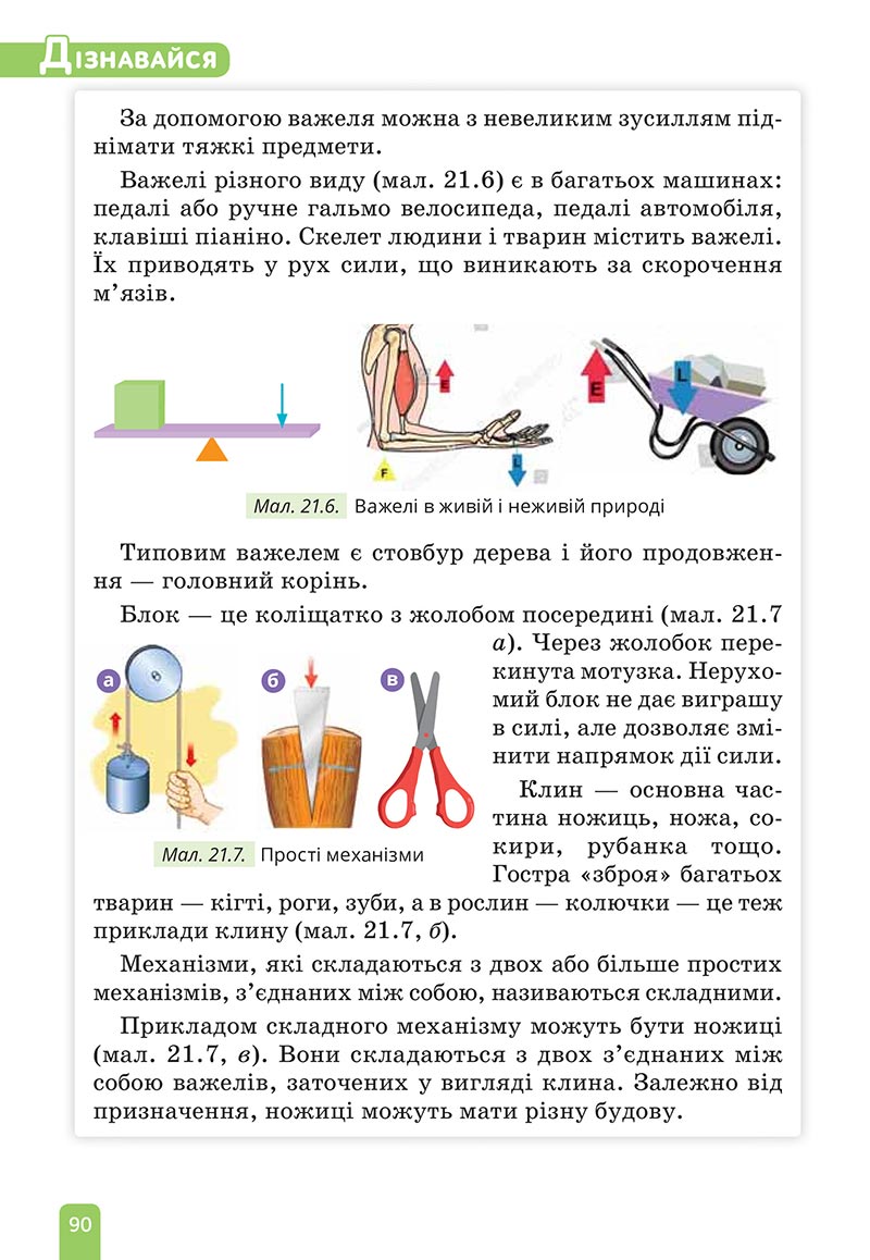 Сторінка 90 - Підручник Природничі науки 5 клас Засєкіна 2022 - скачати, читати онлайн