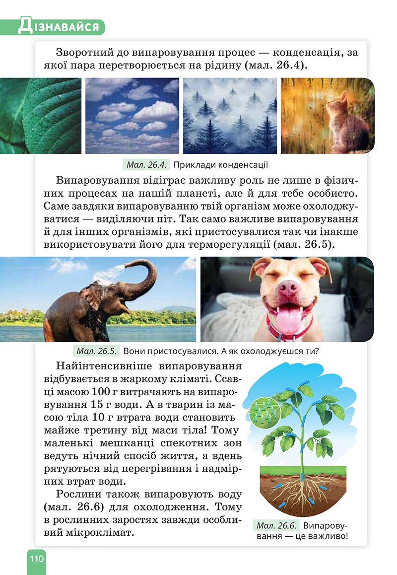 Сторінка 110 - Підручник Природничі науки 5 клас Засєкіна 2022 - скачати, читати онлайн