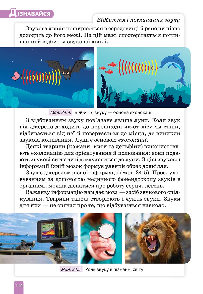 Сторінка 144 - Підручник Природничі науки 5 клас Засєкіна 2022 - скачати, читати онлайн