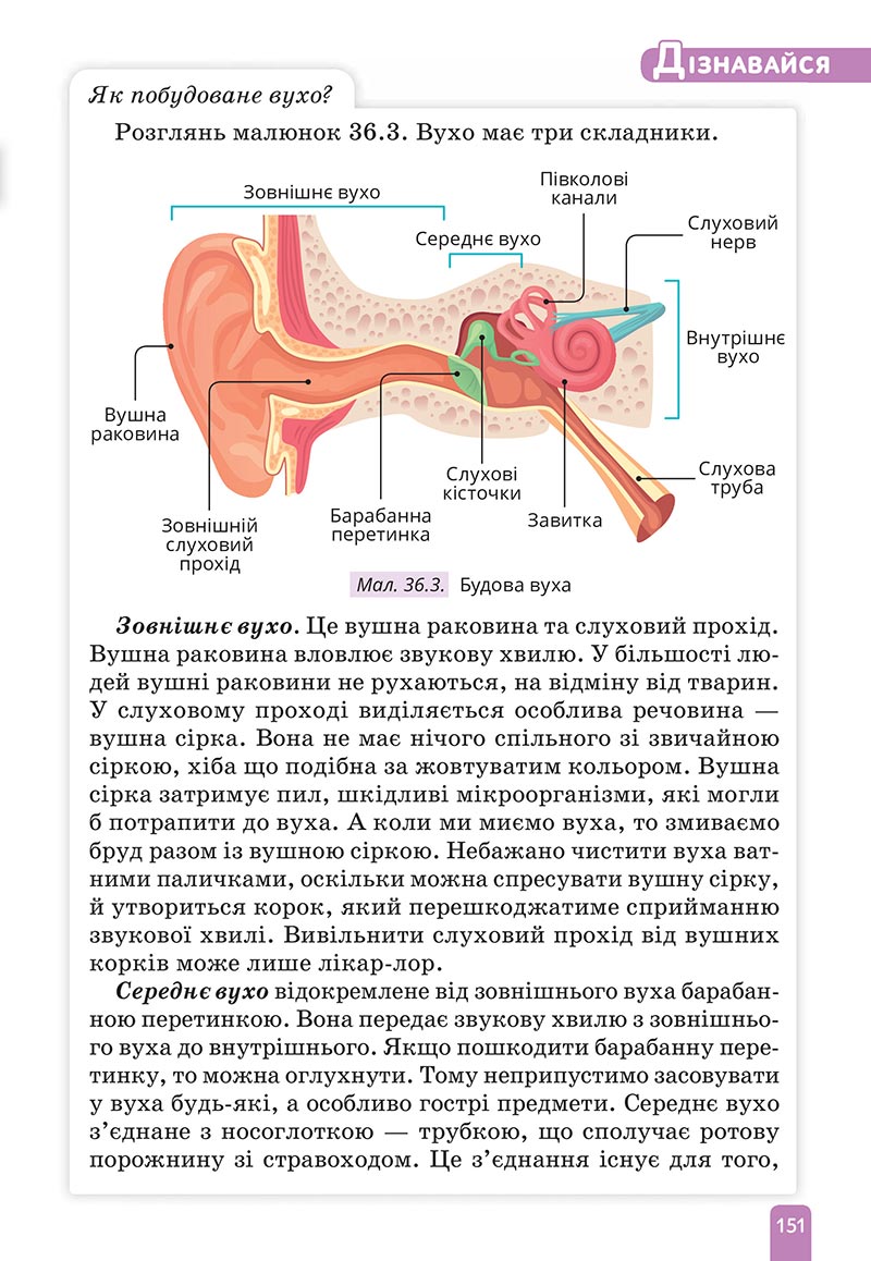 Сторінка 151 - Підручник Природничі науки 5 клас Засєкіна 2022 - скачати, читати онлайн