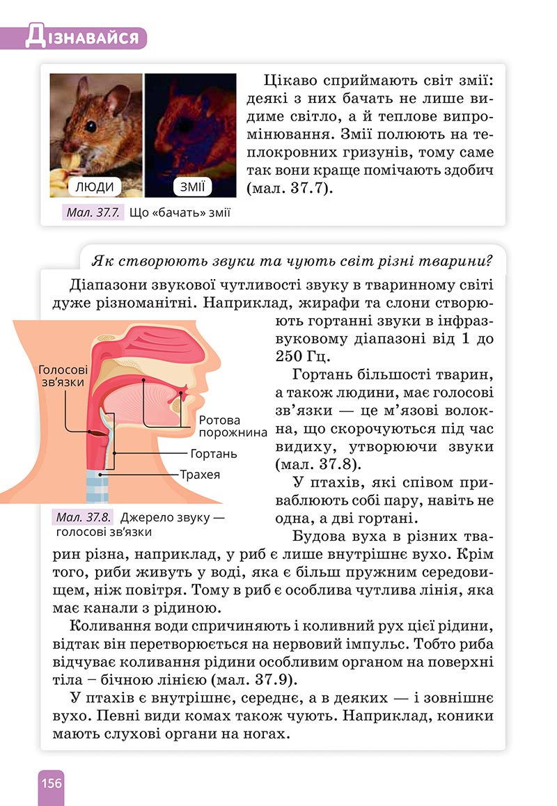 Сторінка 156 - Підручник Природничі науки 5 клас Засєкіна 2022 - скачати, читати онлайн