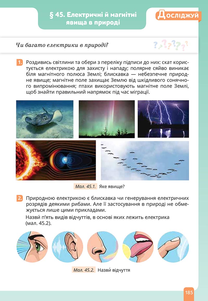 Сторінка 185 - Підручник Природничі науки 5 клас Засєкіна 2022 - скачати, читати онлайн