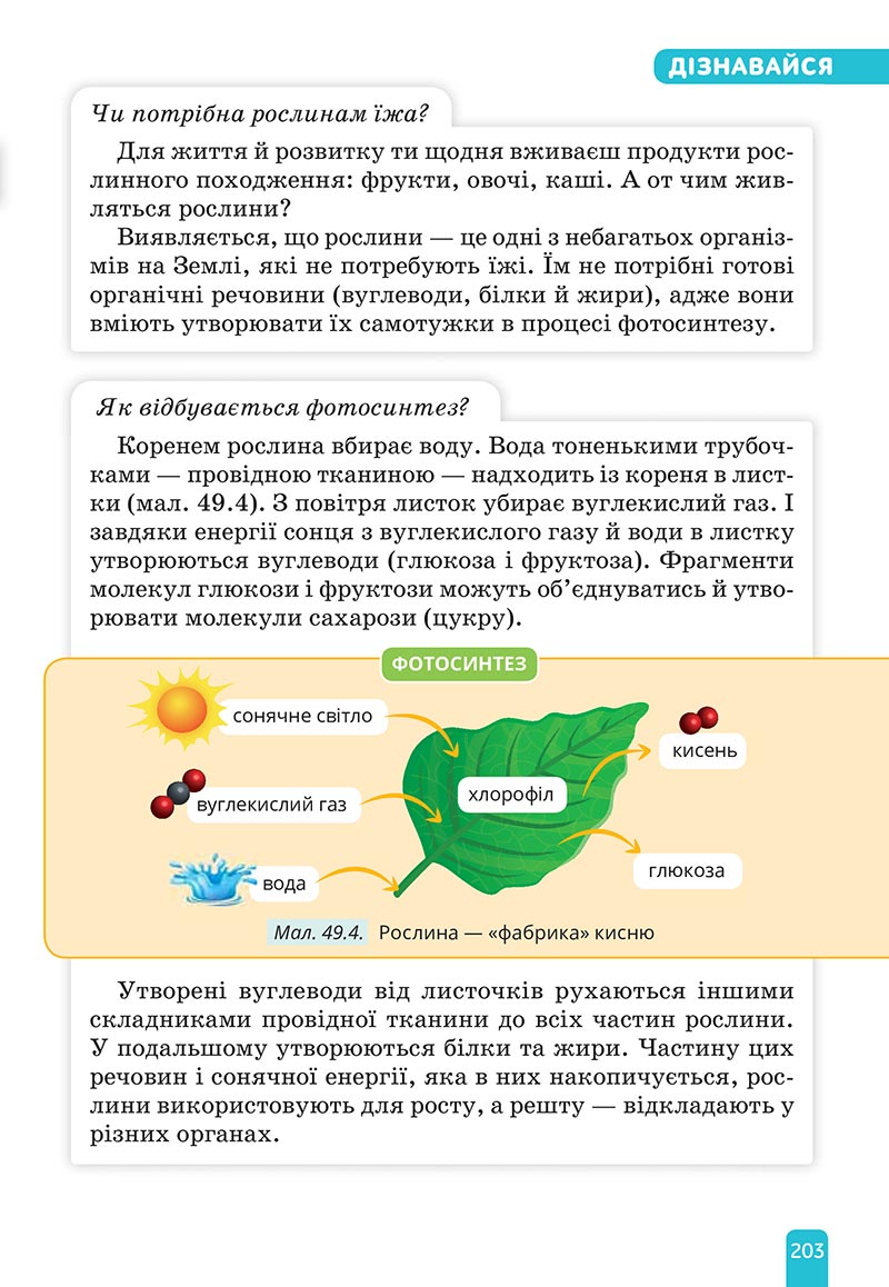 Сторінка 203 - Підручник Природничі науки 5 клас Засєкіна 2022 - скачати, читати онлайн
