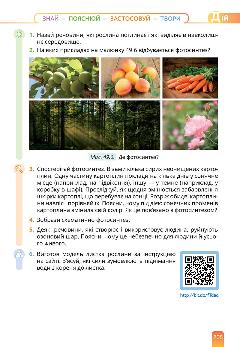 Сторінка 205 - Підручник Природничі науки 5 клас Засєкіна 2022 - скачати, читати онлайн