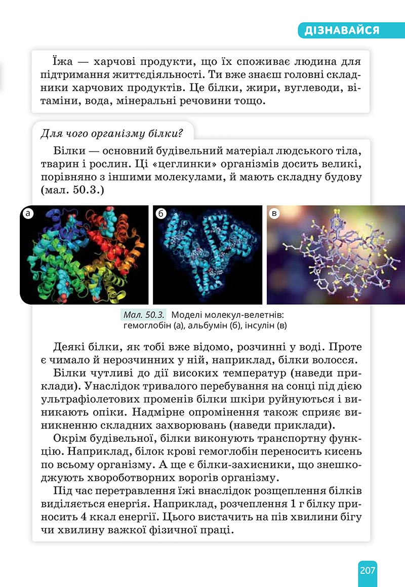 Сторінка 207 - Підручник Природничі науки 5 клас Засєкіна 2022 - скачати, читати онлайн