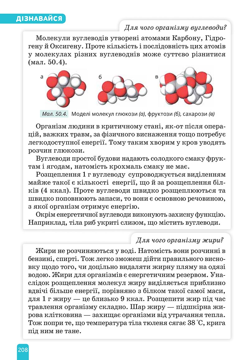 Сторінка 208 - Підручник Природничі науки 5 клас Засєкіна 2022 - скачати, читати онлайн