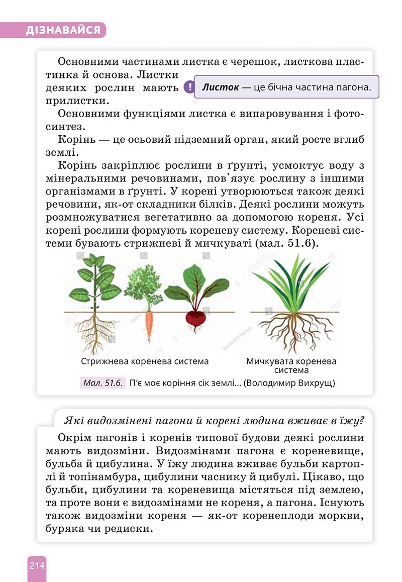 Сторінка 214 - Підручник Природничі науки 5 клас Засєкіна 2022 - скачати, читати онлайн