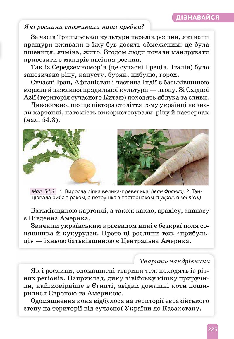 Сторінка 225 - Підручник Природничі науки 5 клас Засєкіна 2022 - скачати, читати онлайн