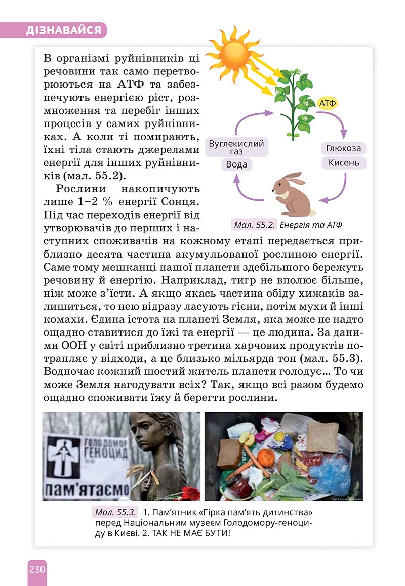 Сторінка 230 - Підручник Природничі науки 5 клас Засєкіна 2022 - скачати, читати онлайн