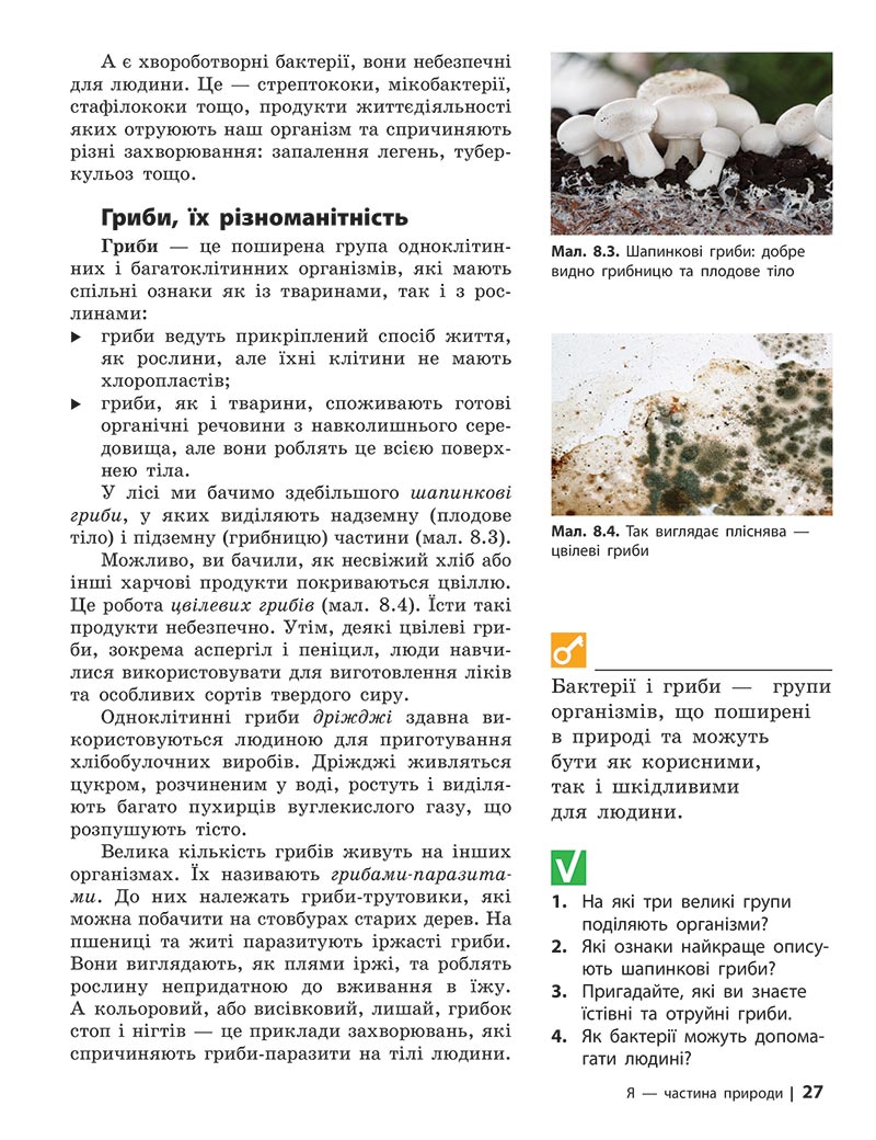 Сторінка 27 - Підручник Довкілля 5 клас Григорович 2022 - скачати, читати онлайн