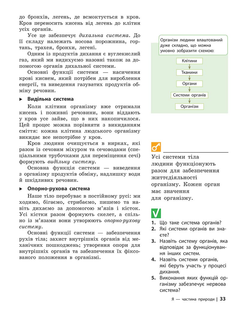 Сторінка 33 - Підручник Довкілля 5 клас Григорович 2022 - скачати, читати онлайн