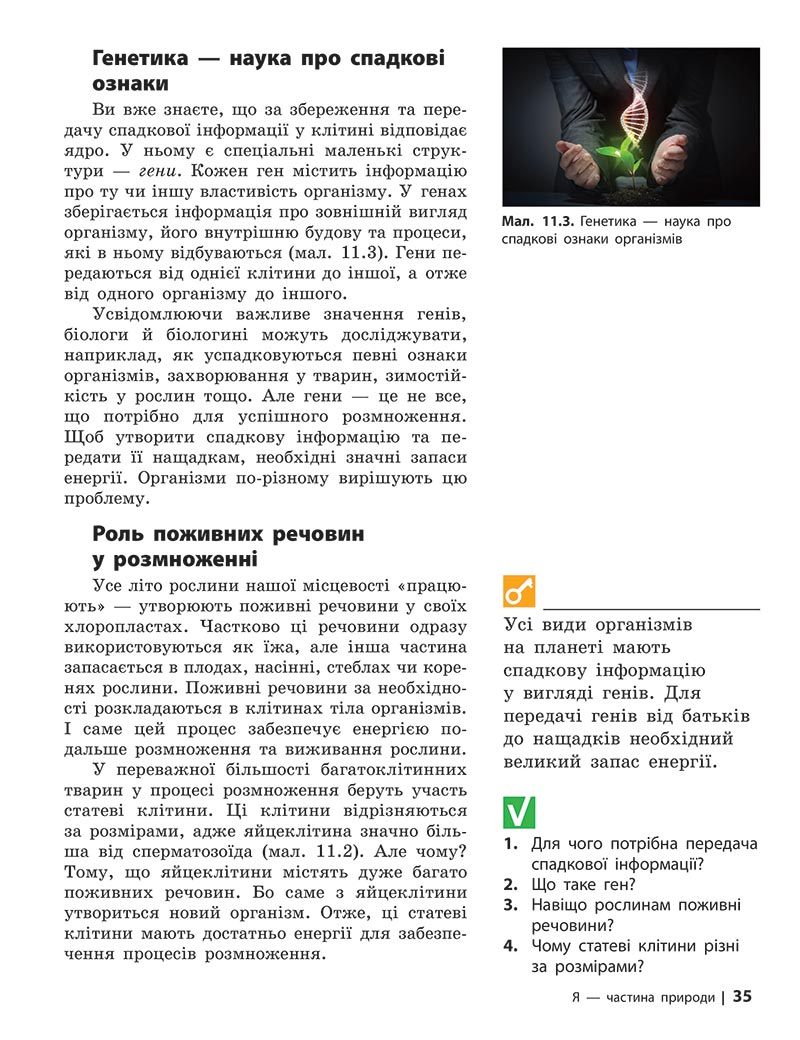 Сторінка 35 - Підручник Довкілля 5 клас Григорович 2022 - скачати, читати онлайн