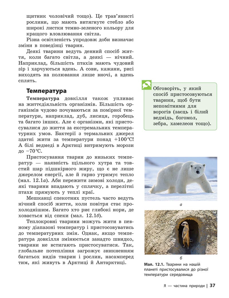 Сторінка 37 - Підручник Довкілля 5 клас Григорович 2022 - скачати, читати онлайн