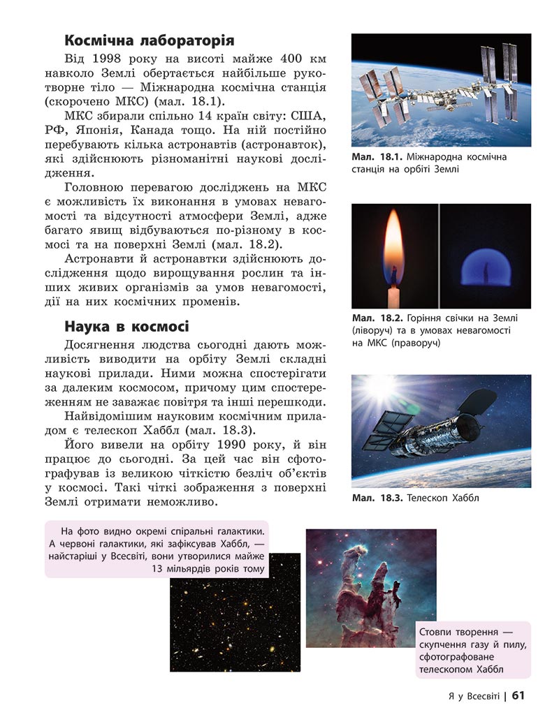 Сторінка 61 - Підручник Довкілля 5 клас Григорович 2022 - скачати, читати онлайн