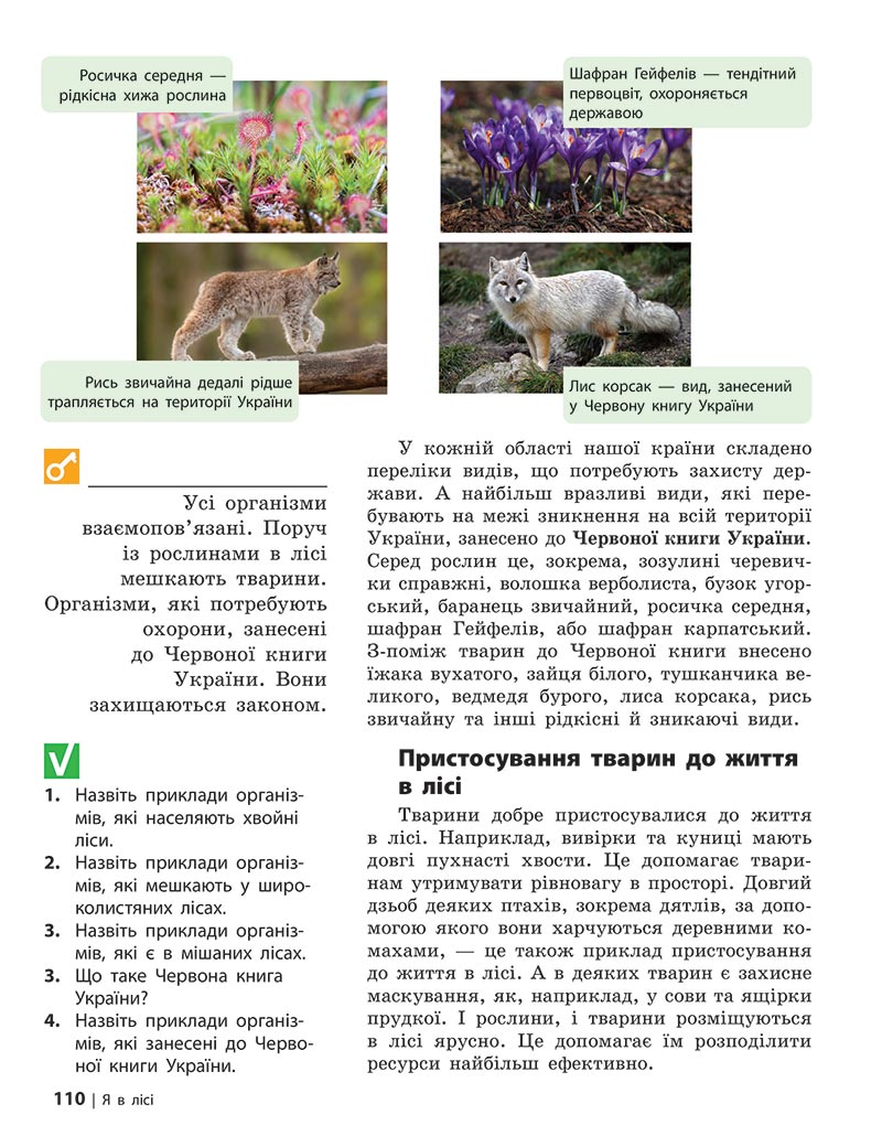 Сторінка 110 - Підручник Довкілля 5 клас Григорович 2022 - скачати, читати онлайн