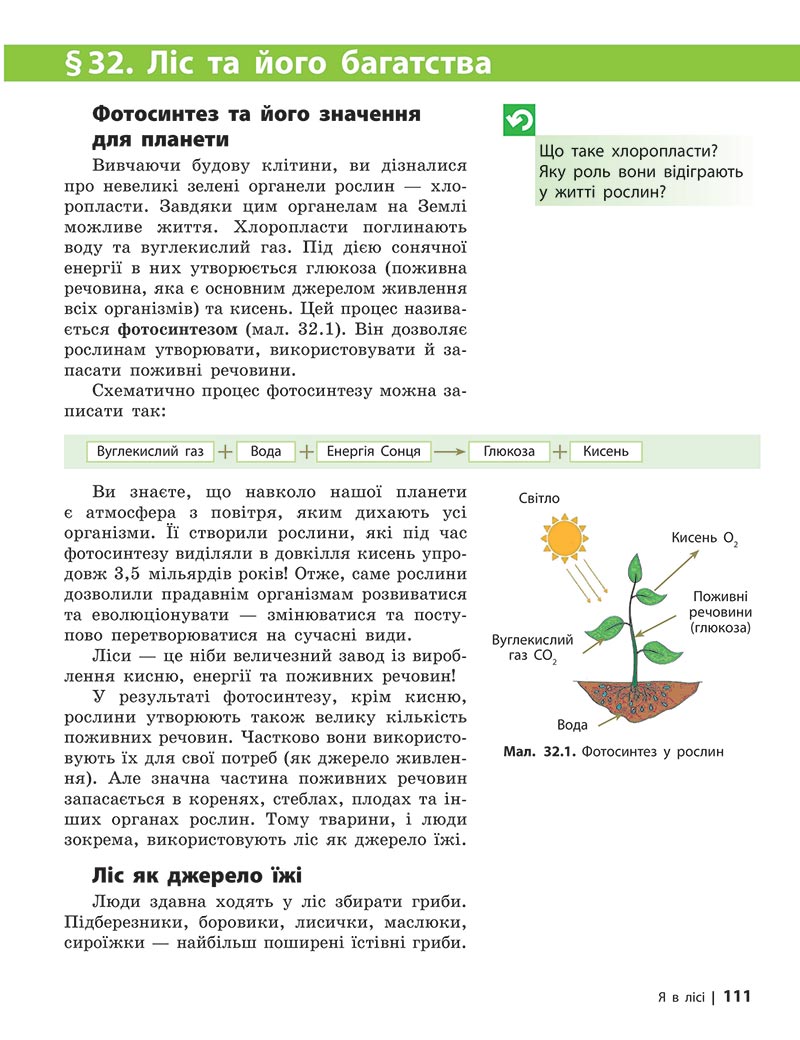 Сторінка 111 - Підручник Довкілля 5 клас Григорович 2022 - скачати, читати онлайн