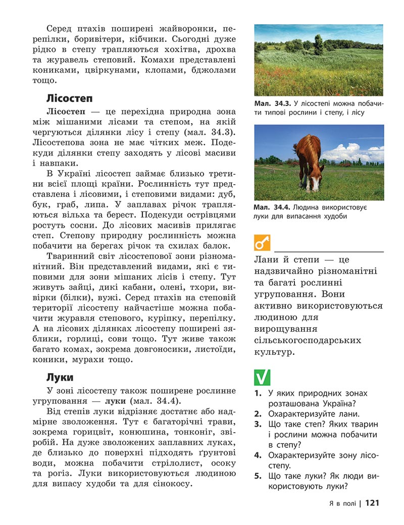 Сторінка 121 - Підручник Довкілля 5 клас Григорович 2022 - скачати, читати онлайн