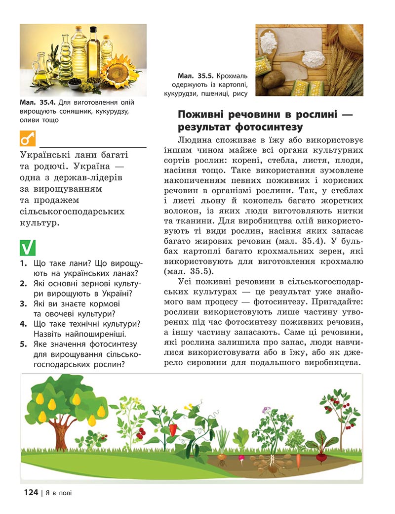Сторінка 124 - Підручник Довкілля 5 клас Григорович 2022 - скачати, читати онлайн