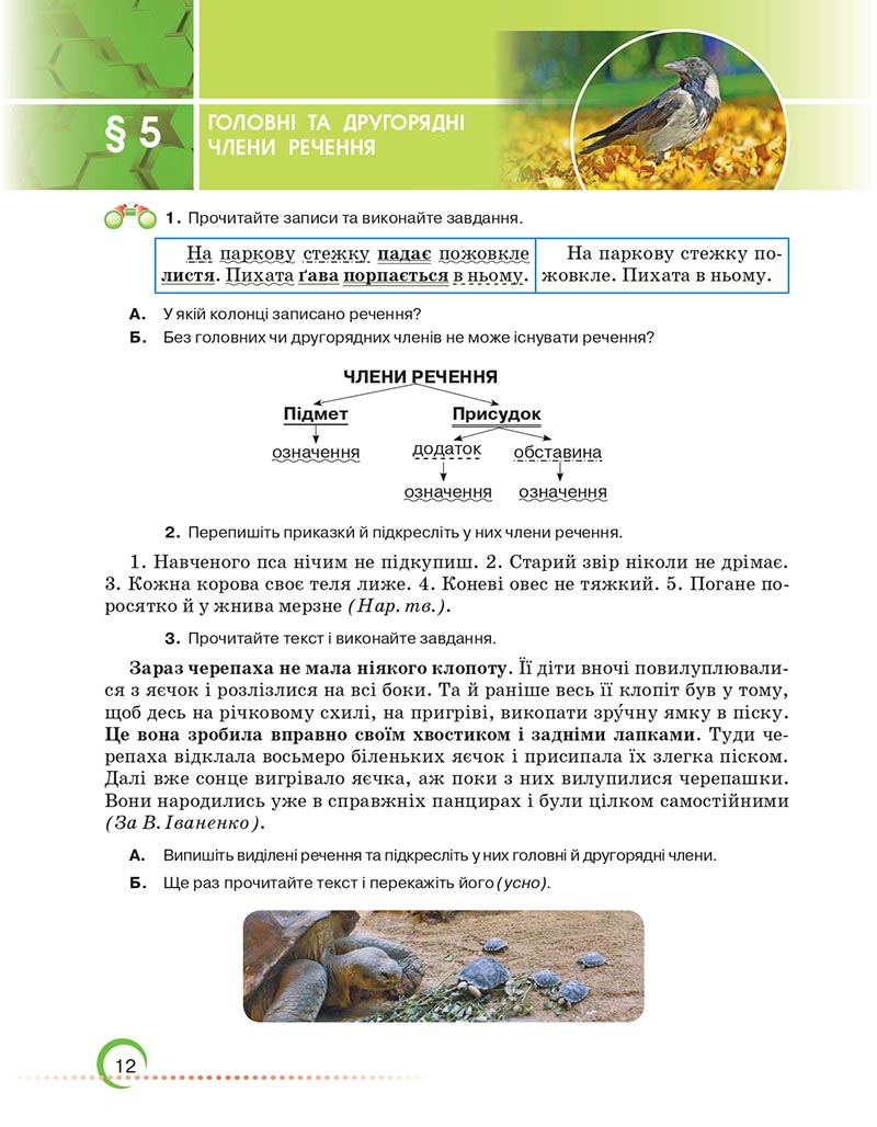 Сторінка 12 - Підручник Українська мова 6 клас Авраменко 2023 НУШ