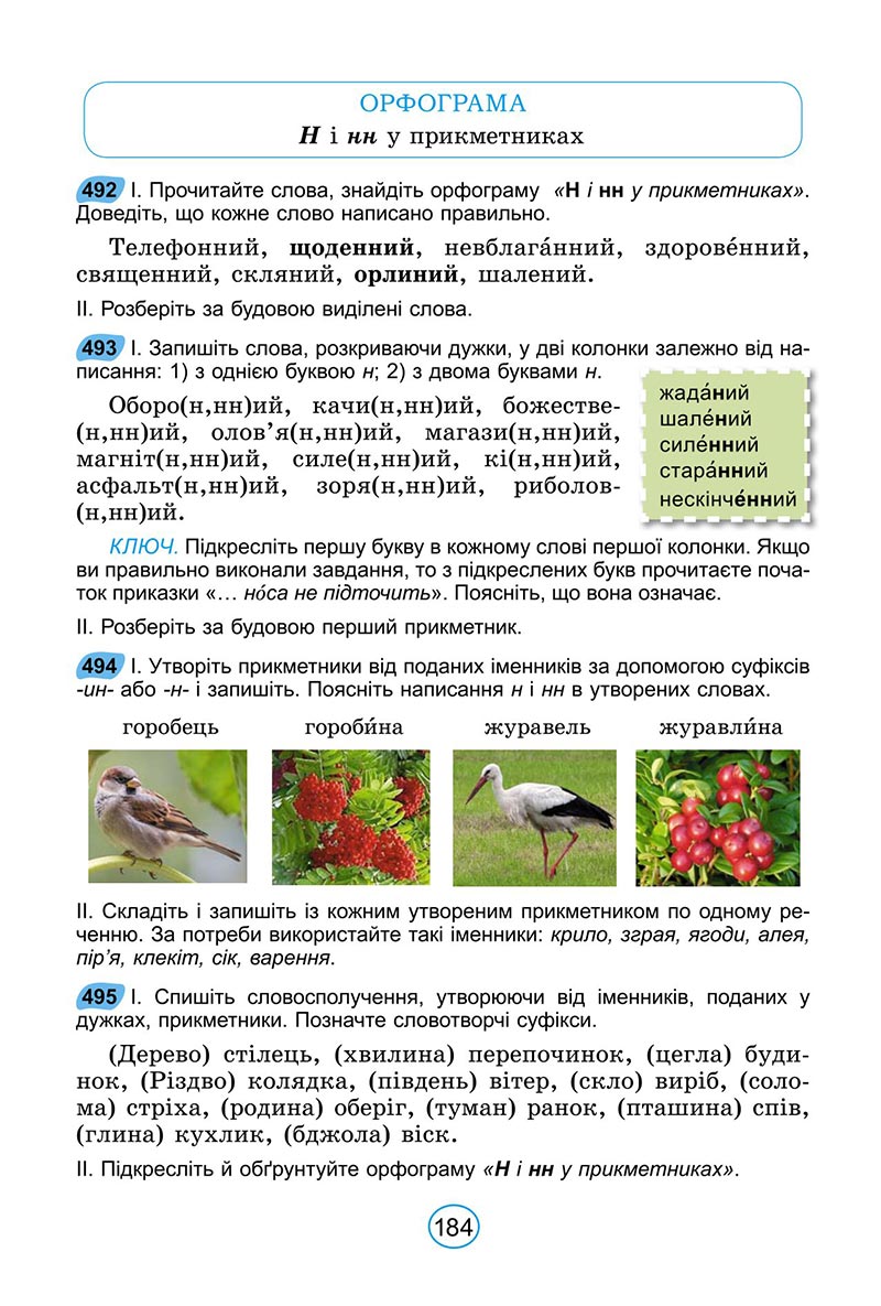 Сторінка 184 - Підручник Українська мова 6 клас Заболотний 2023 НУШ