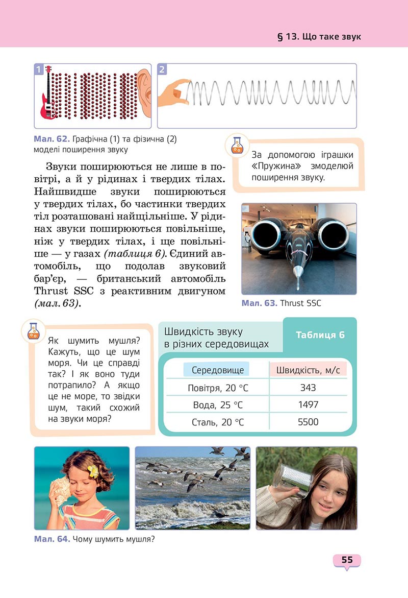 Сторінка 55 - Підручник Пізнаємо природу 6 клас Біда 2023 НУШ