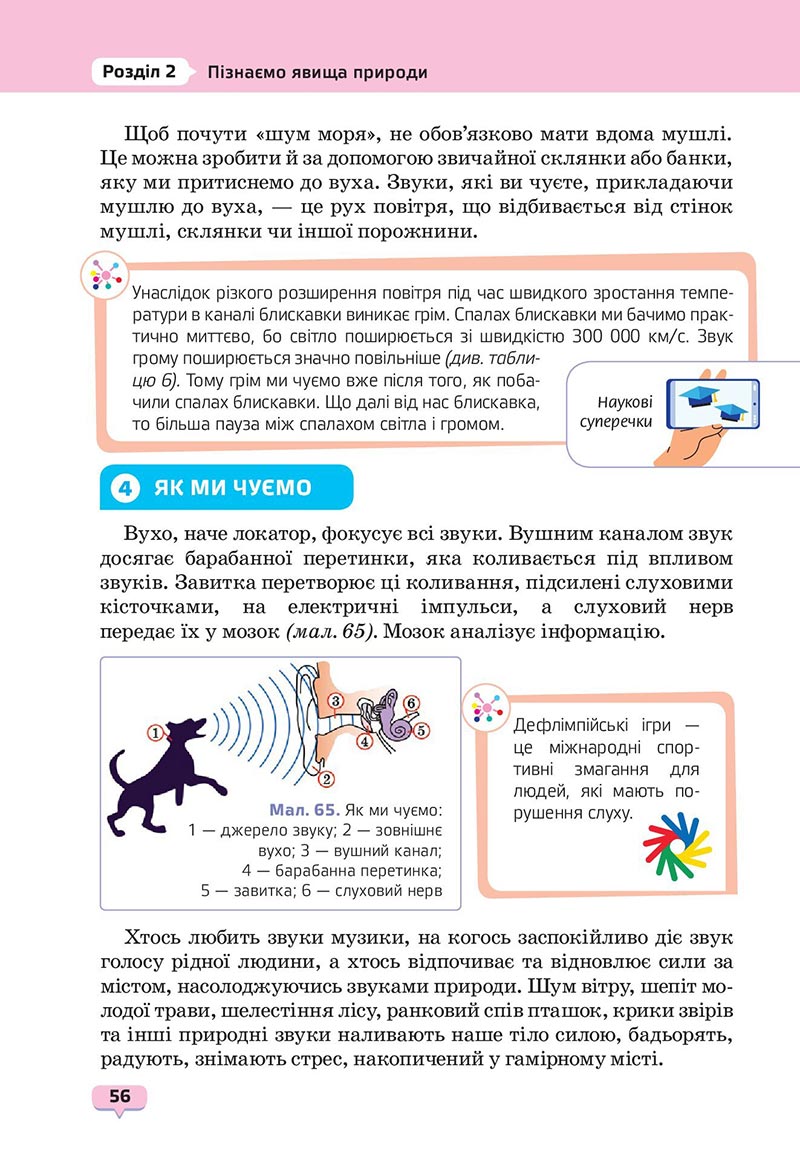 Сторінка 56 - Підручник Пізнаємо природу 6 клас Біда 2023 НУШ